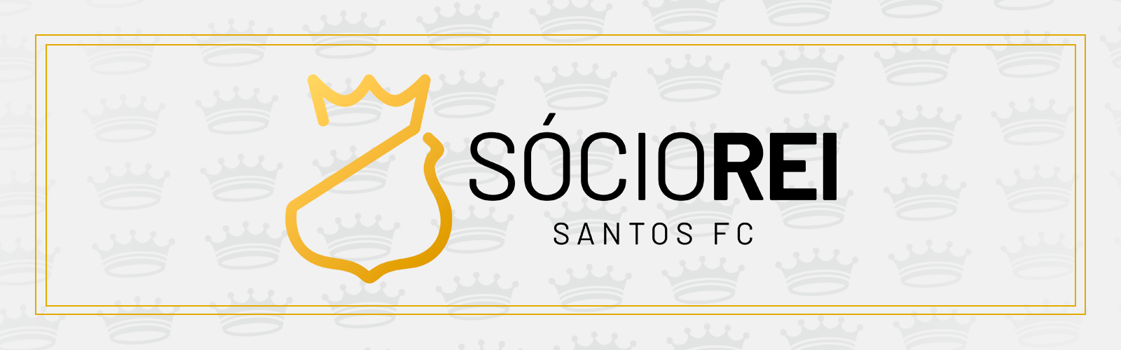 Banner Socio Rei Wide